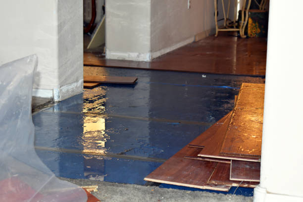 Professional Sewage Cleanup technician working in Justin, TX